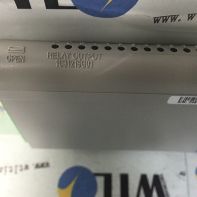 1C31219G01 Westinghouse  Ethernet/IP Communication Protocol Servo Motor